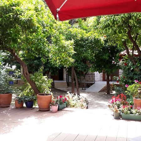 Citrus Garden Hotel Antalya Exteriér fotografie