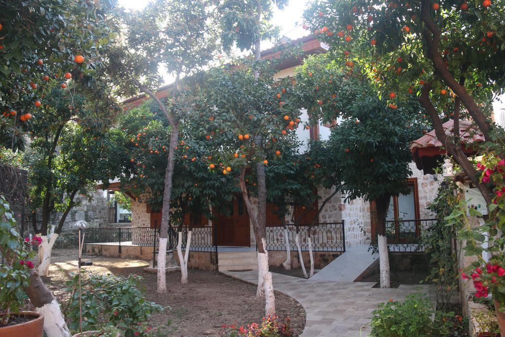 Citrus Garden Hotel Antalya Exteriér fotografie