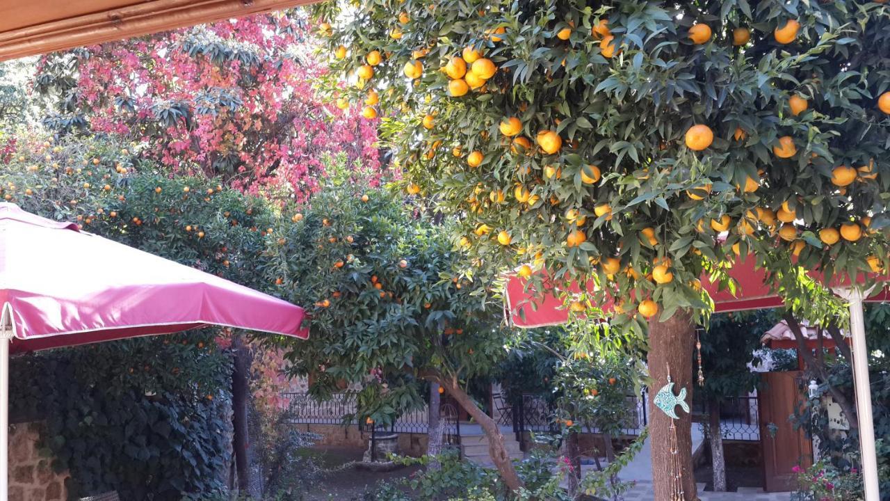 Citrus Garden Hotel Antalya Exteriér fotografie