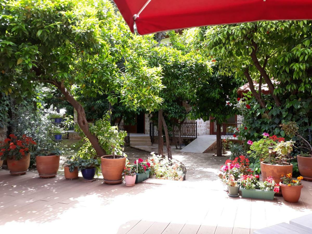 Citrus Garden Hotel Antalya Exteriér fotografie