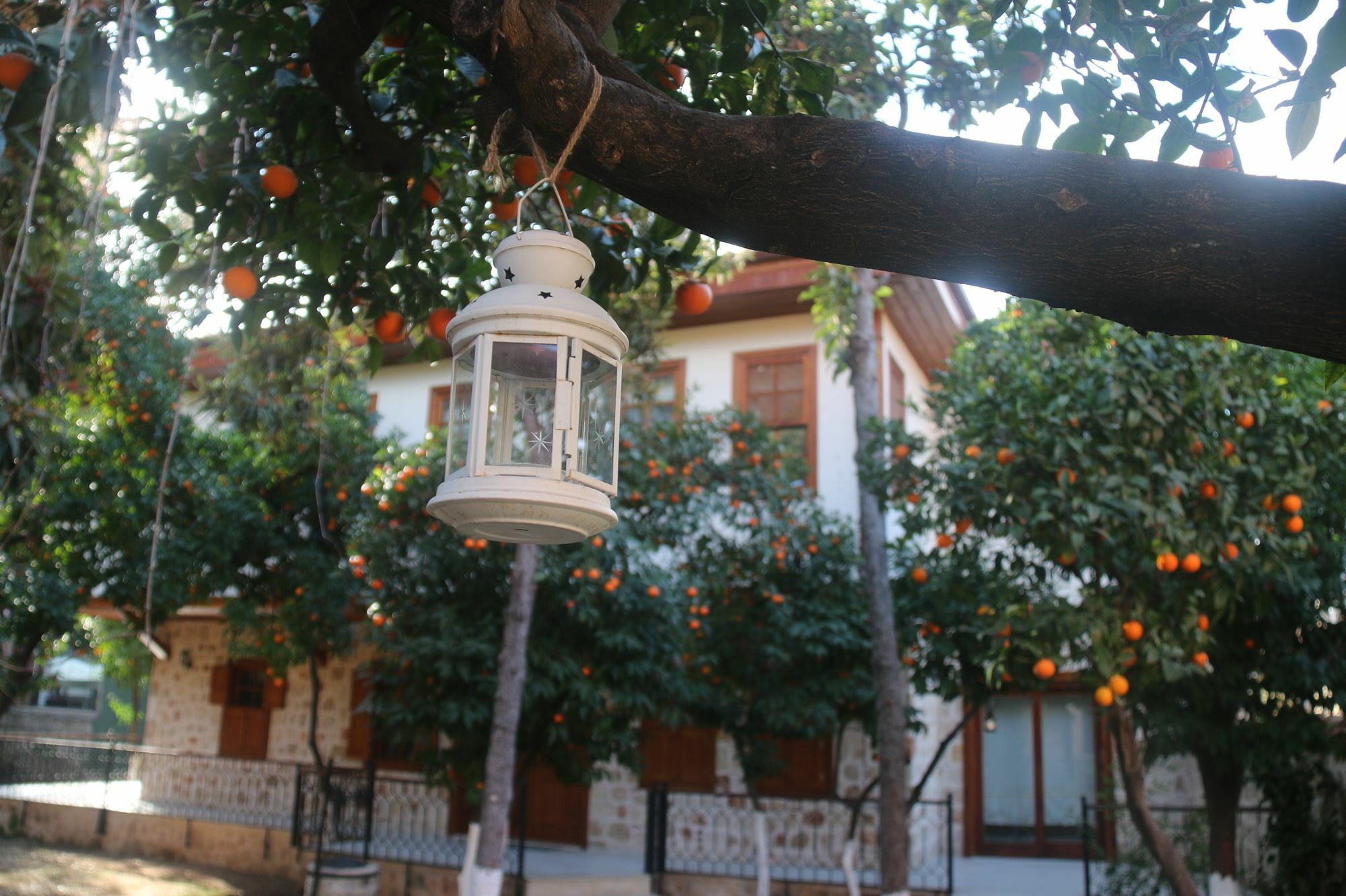 Citrus Garden Hotel Antalya Exteriér fotografie